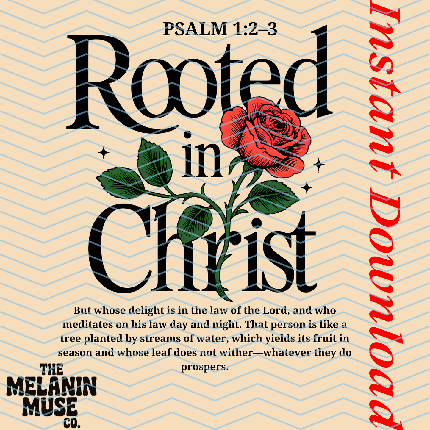 Rooted in Christ PNG Bundle – 9-Piece Faith-Based Digital Download for Christian Designs
