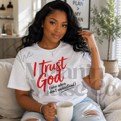 I Trust God (Even When I Don't Understand)