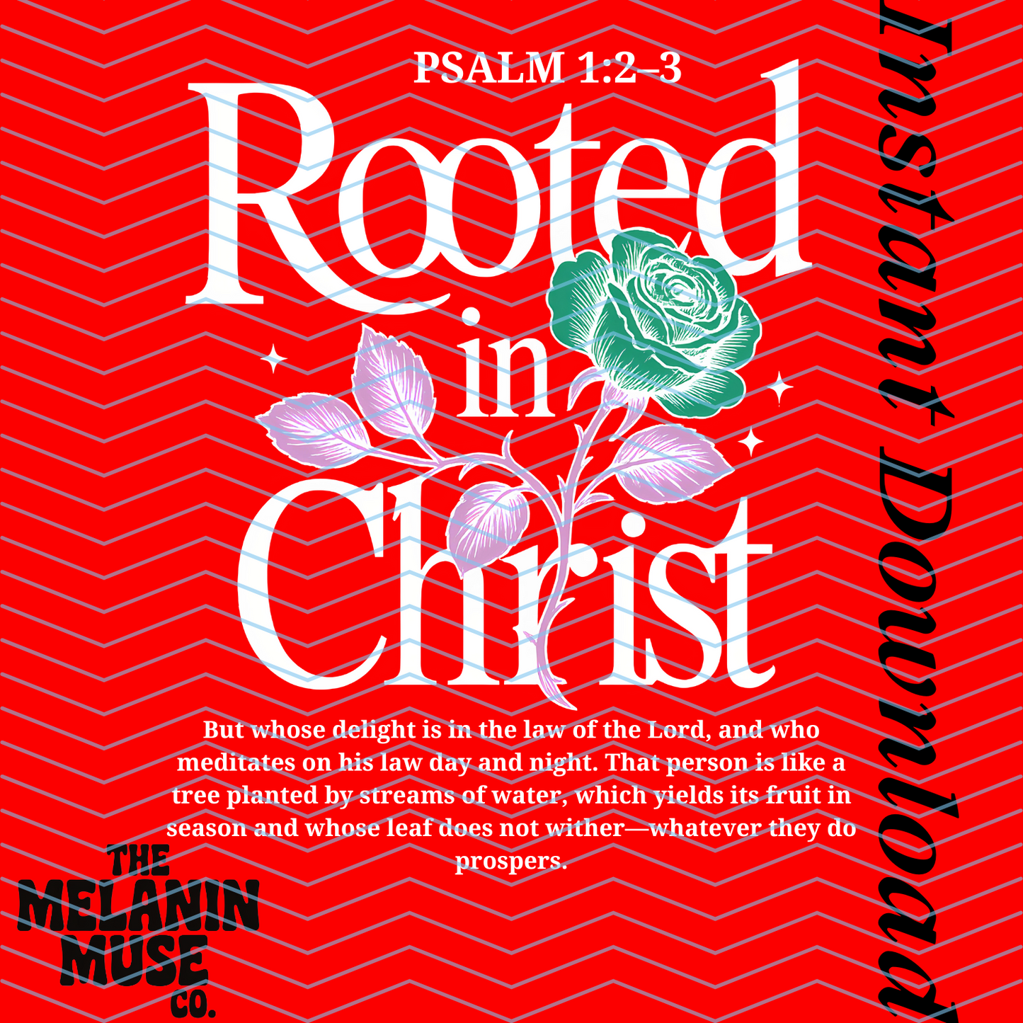 Rooted in Christ PNG Bundle – 9-Piece Faith-Based Digital Download for Christian Designs