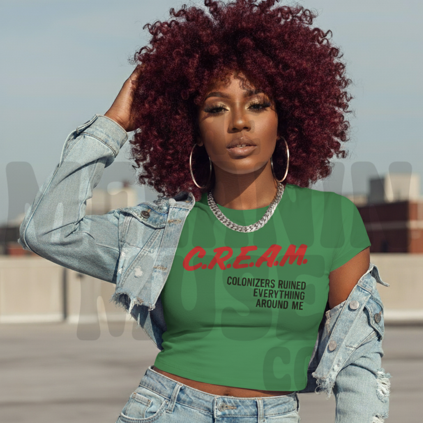 C.R.E.A.M.  – Colonizers Ruined Everything Around Me