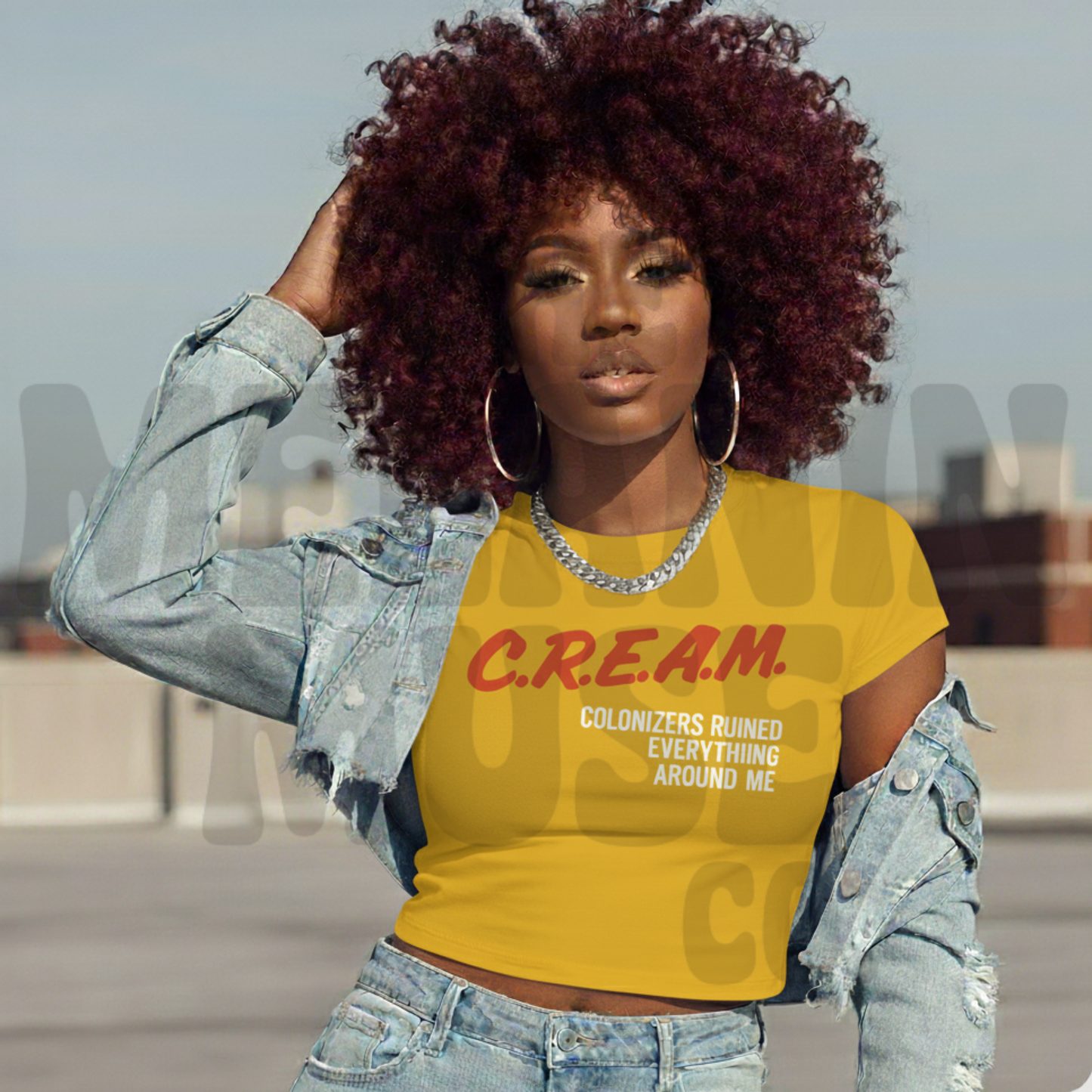 C.R.E.A.M.  – Colonizers Ruined Everything Around Me